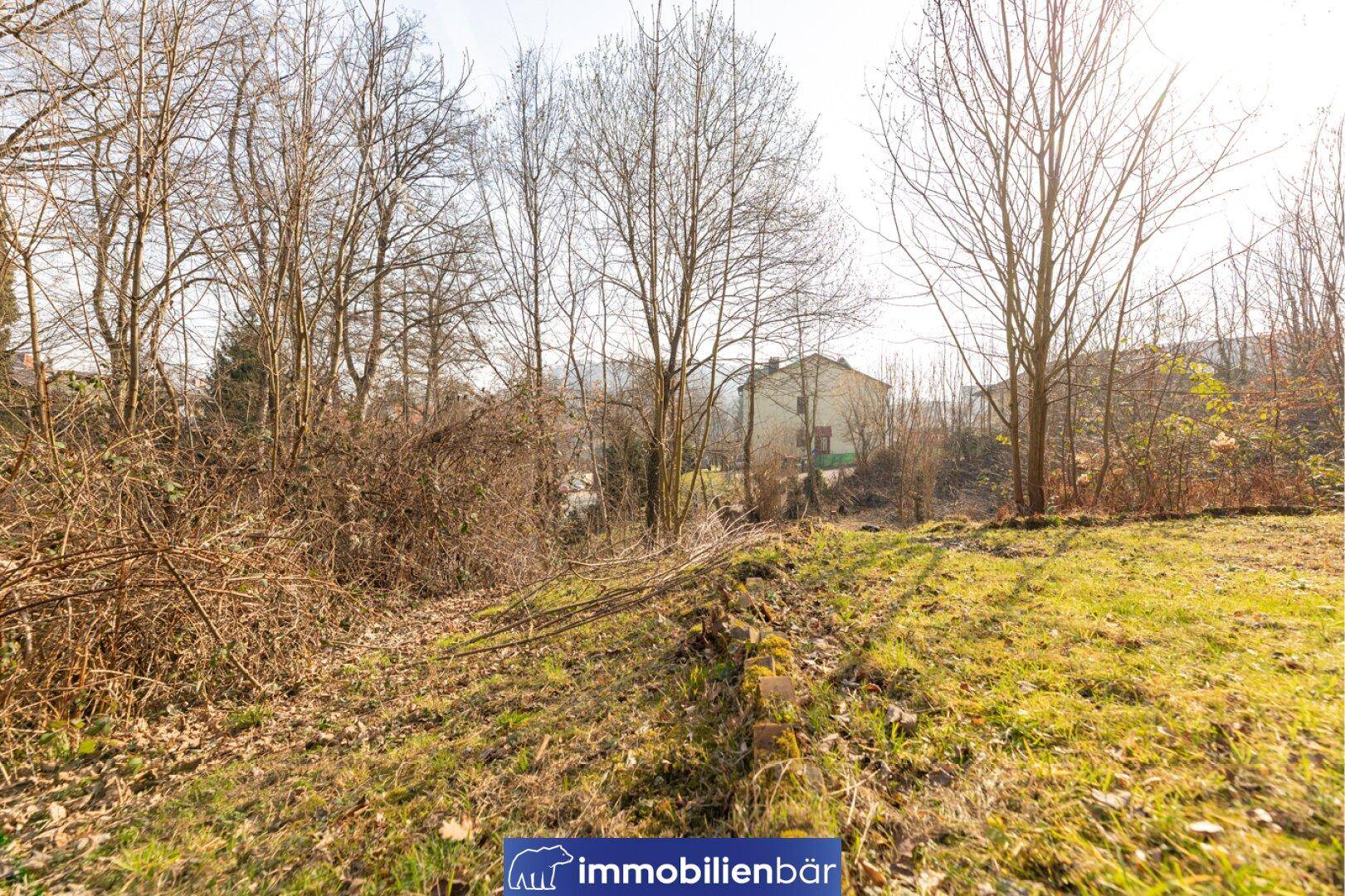 Weitläufige Grünfläche mit kahlen Bäumen im Hintergrund und einem Baumstumpf im Vordergrund.