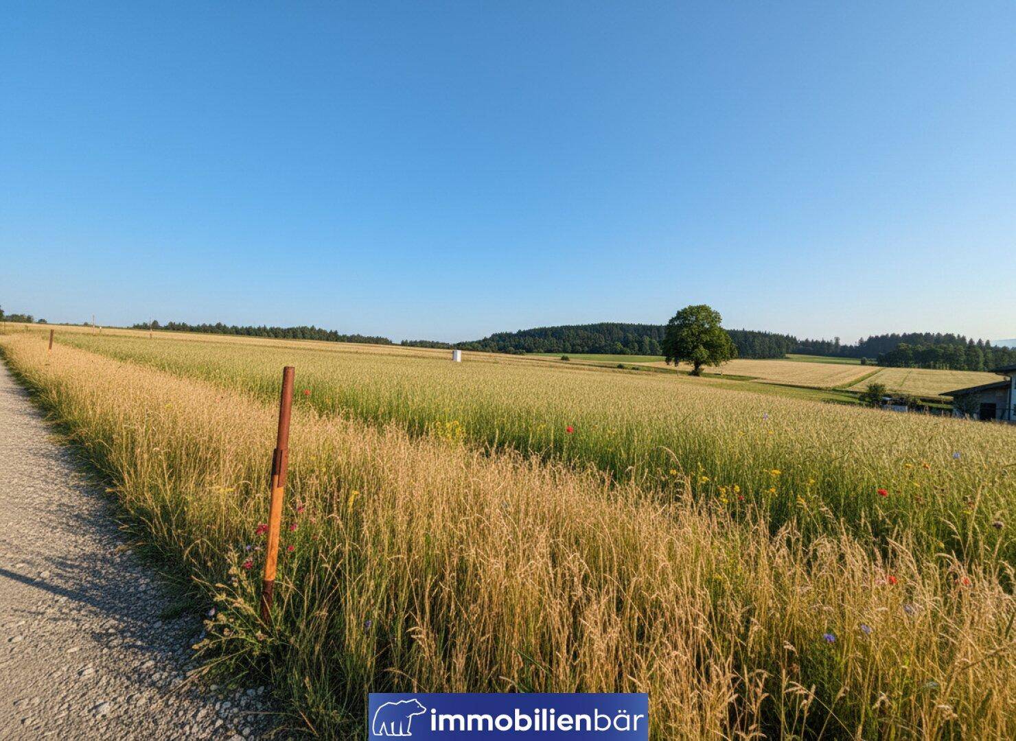 Traumhafte Baugrundstücke in St. Willibald - Ortsteil Wamprechtsham - Ansicht 3