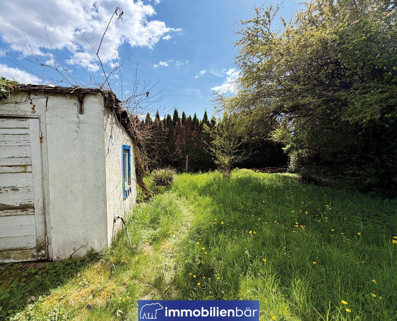 Kleiner, älterer Schuppen mit blauem Fensterrahmen auf einem grünen Grundstück.