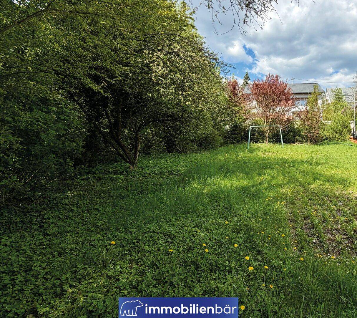 Sonniger Gartenbereich mit Rasen, Bäumen und Sträuchern unter leicht bewölktem Himmel.