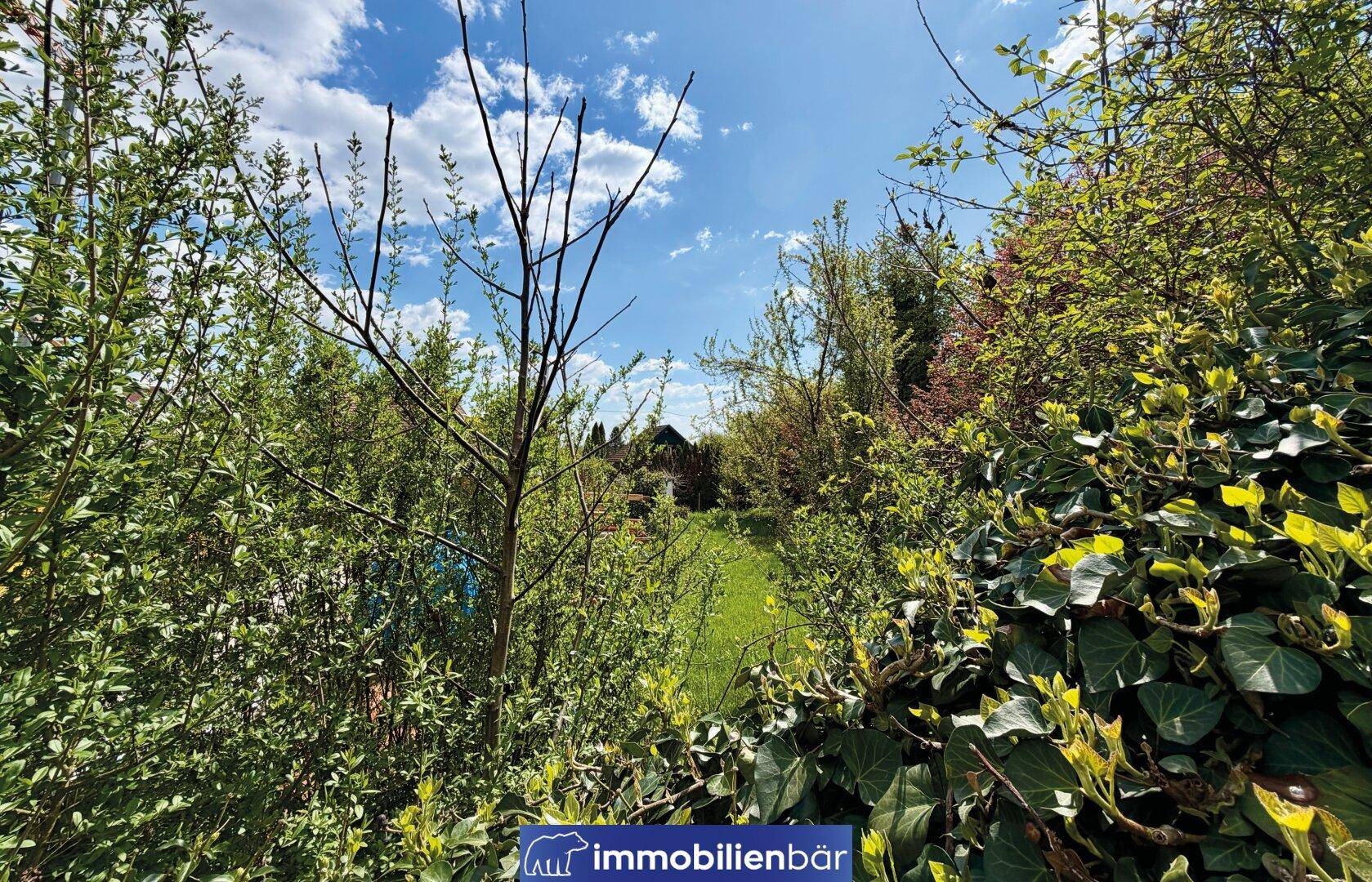 Blick durch dichtes Laub auf eine grüne Wiese und Häuser in der Ferne.