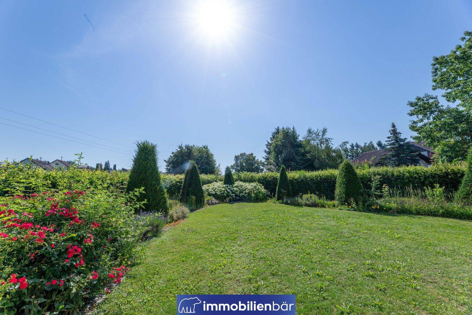 Sonnige Gartenfläche mit gepflegtem Rasen, Ziersträuchern und blühenden Pflanzen.