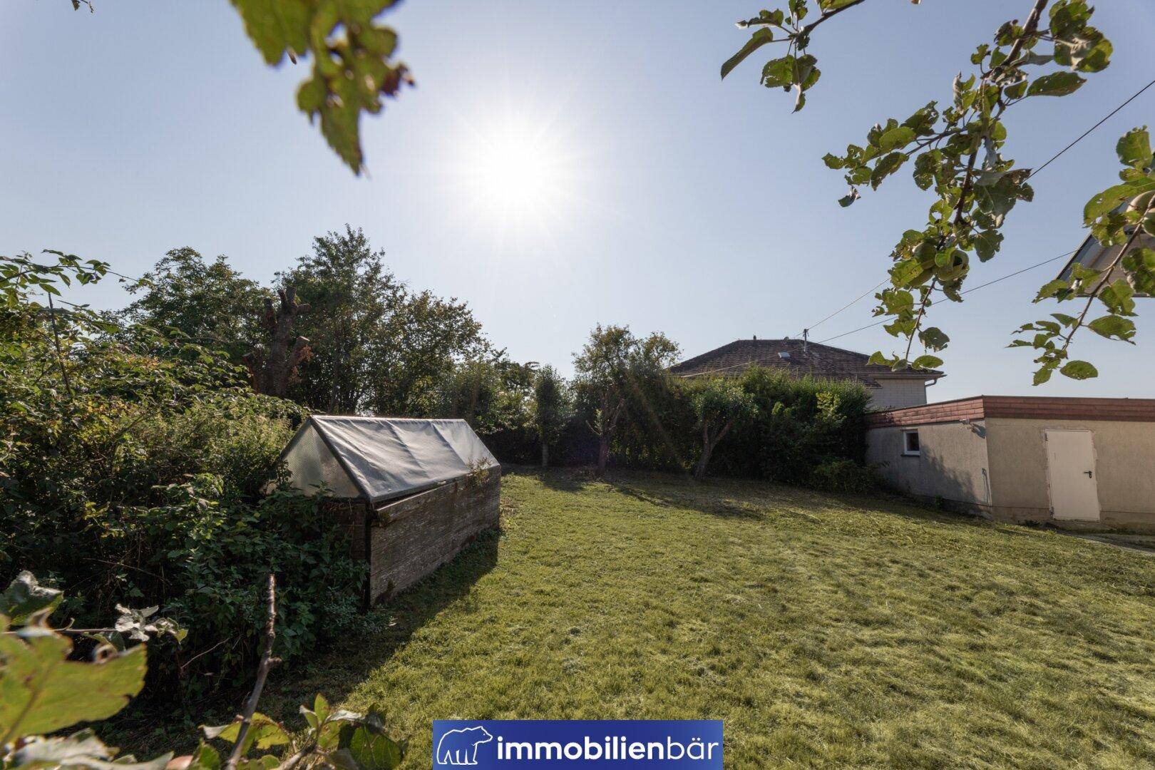 Großer, sonniger Garten mit Rasenfläche, Bäumen und einem kleinen Gewächshaus.