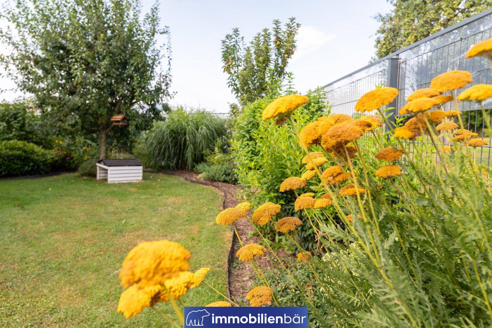 Sonnige Rasenfläche im Garten mit gelben Blumenbeeten und Bäumen im Hintergrund.