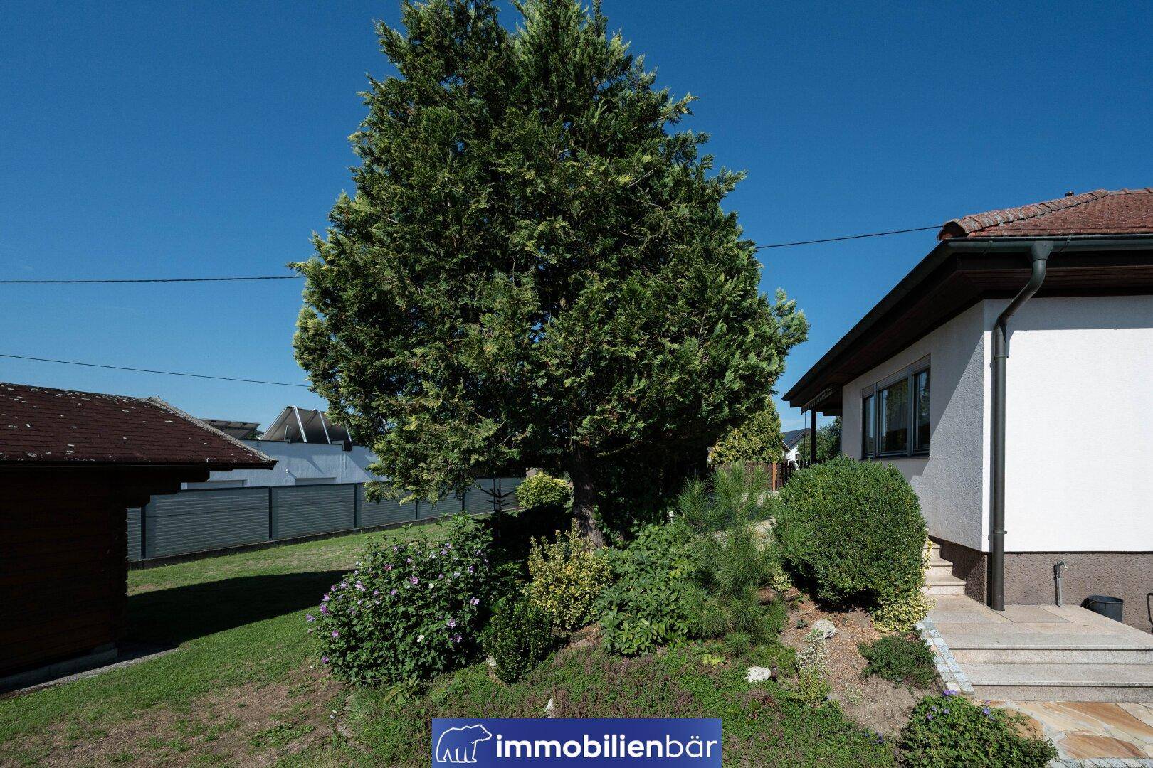 Gepflegter Gartenbereich mit großen Bäumen und Sträuchern neben dem Haus, sonnig und grün.