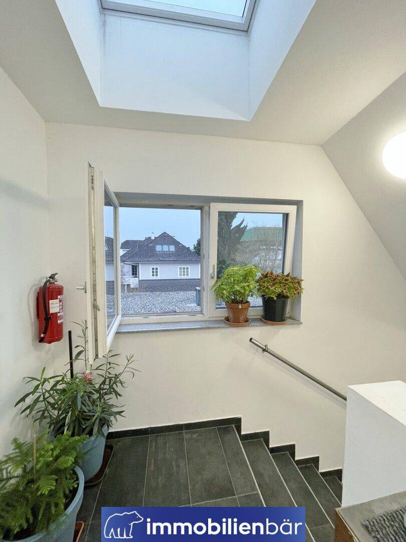 Treppenhaus mit dunklen Fliesen, einem Fenster und Pflanzen, das viel natürliches Licht erhält.