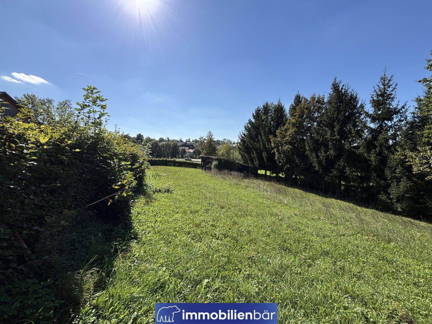 Sonniges Grundstück mit Hecke und Nadelbäumen, bietet einen weiten Blick in die Umgebung.