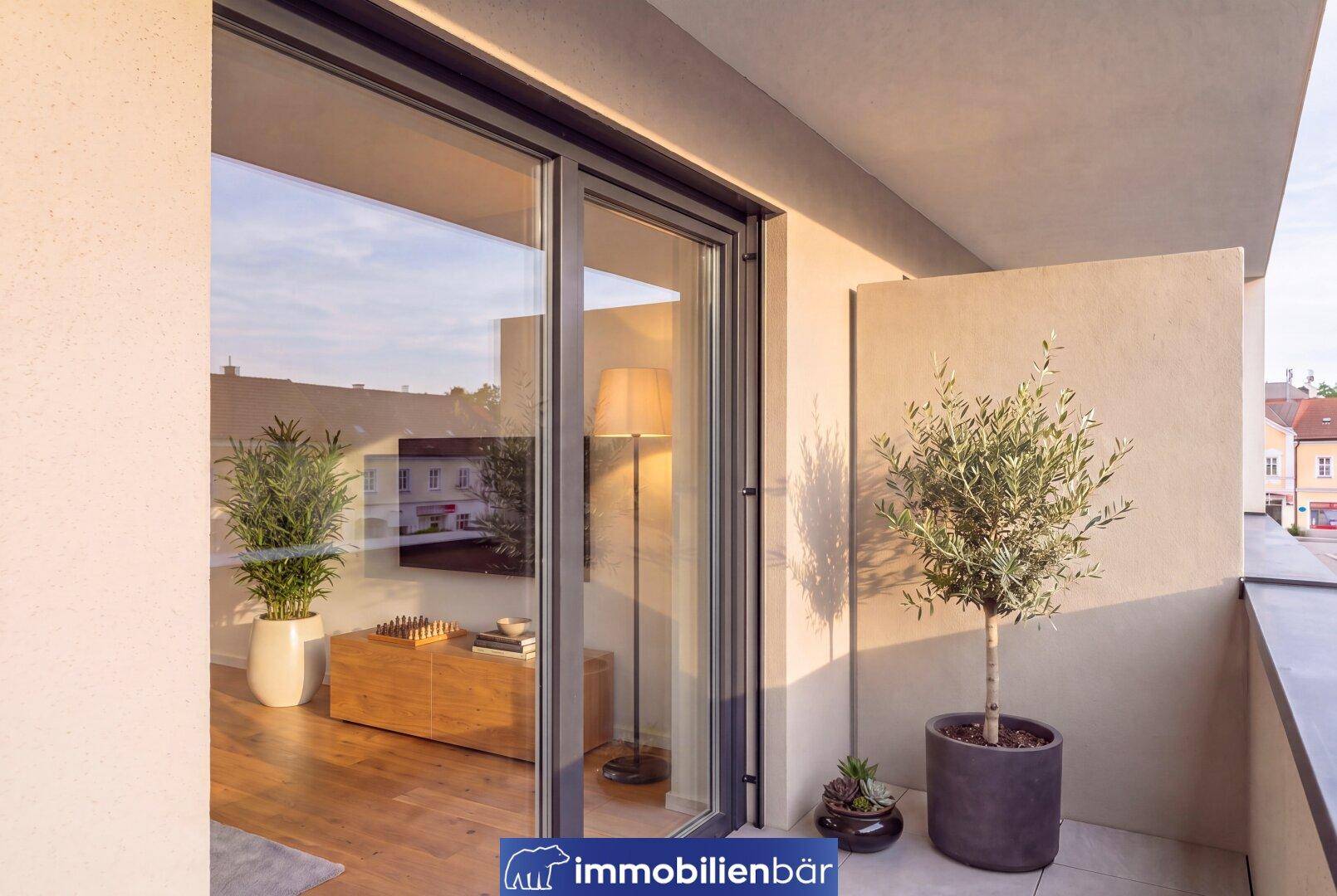 Heller Balkon mit Topfpflanzen und Blick in das moderne Wohnzimmer sowie die Umgebung.