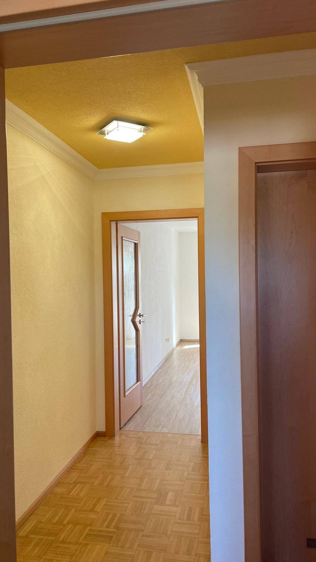 Heller Flur mit Holztüren und Laminatboden, der zu weiteren Räumen führt.