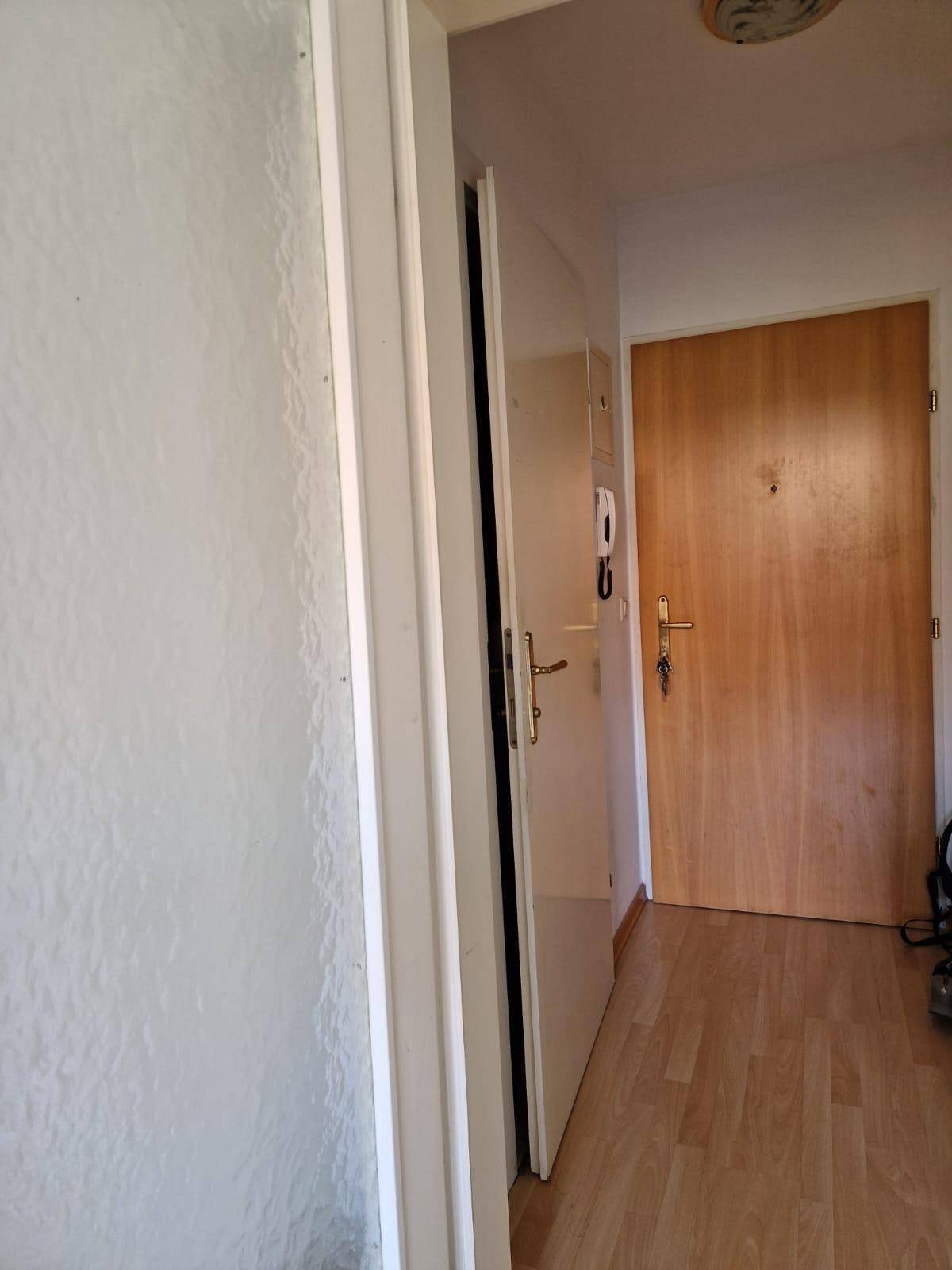 Heller Flur mit Holztür und Gegensprechanlage, der zu weiteren Räumen führt.