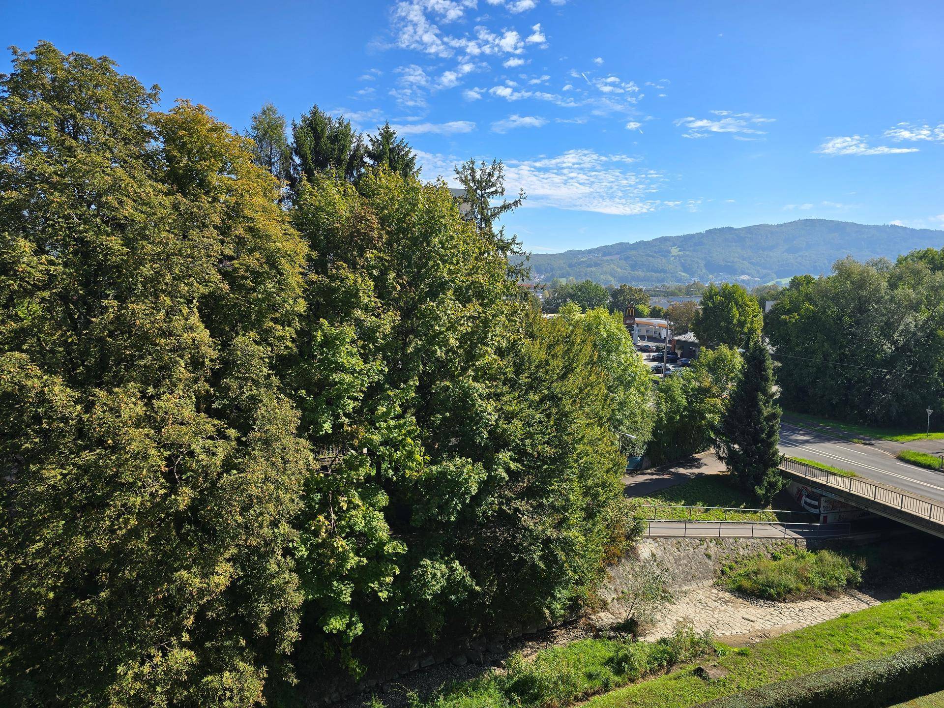 Panoramablick über dichte Baumkronen, einen kleinen Bach und ferne Berge unter klarem Himmel.