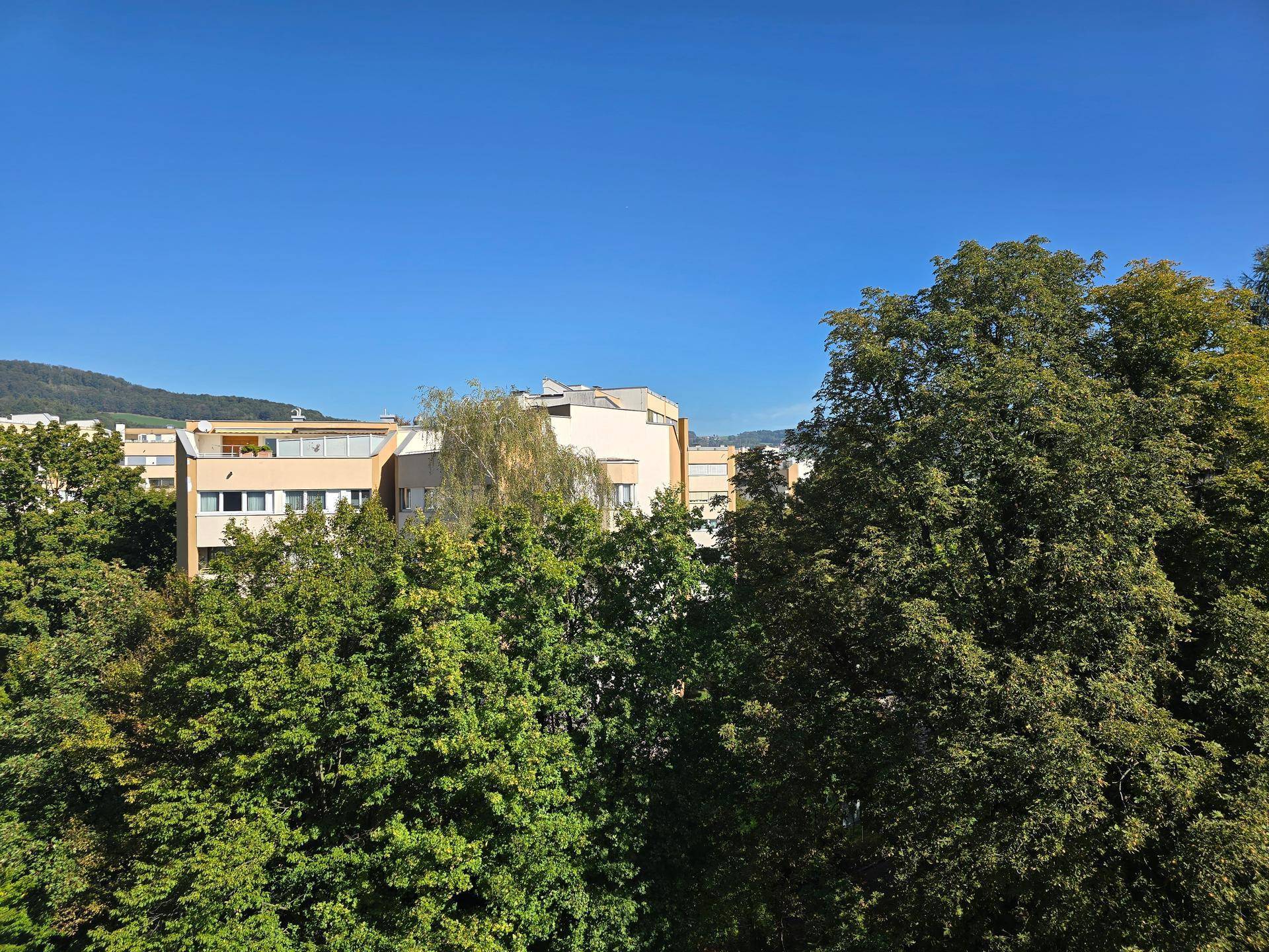 Blick über grüne Baumwipfel auf weitere Wohngebäude in der Ferne an einem sonnigen Tag.
