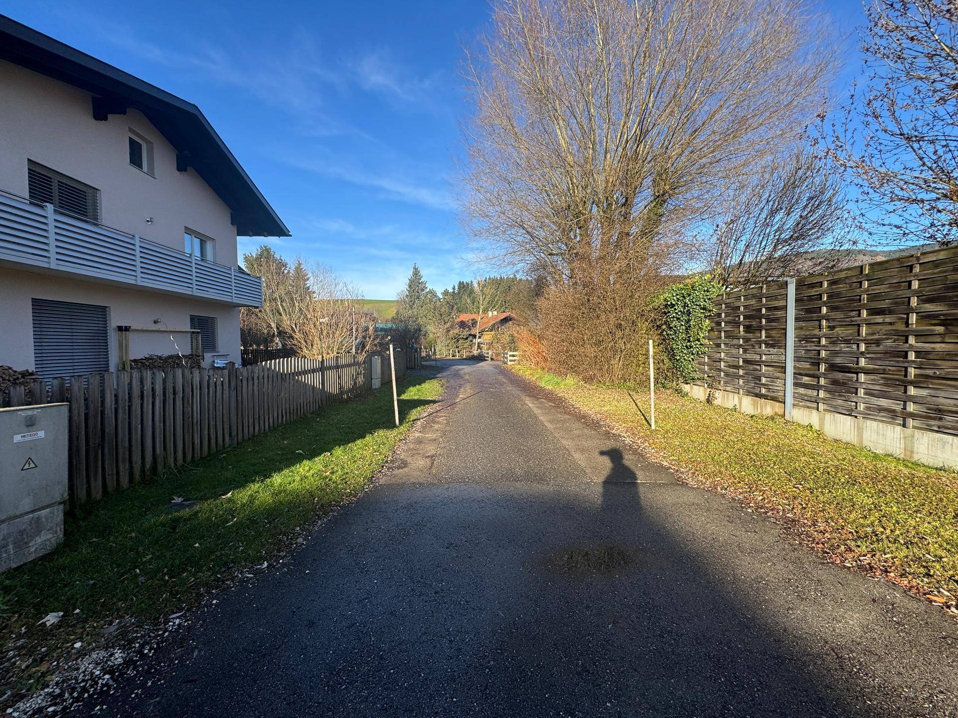 Ländlicher Weg zwischen Wohnhäusern und dichter Vegetation unter blauem Himmel.