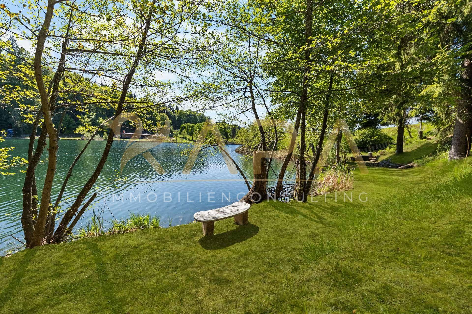Ruhiger Seeuferbereich mit Steinbank unter Bäumen und weitem Blick über das Wasser.