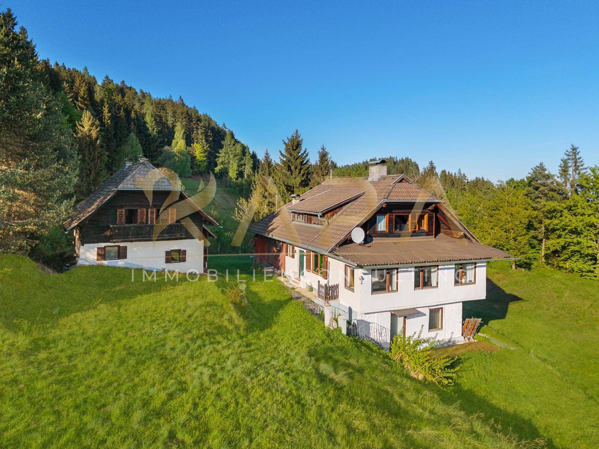 Luftaufnahme der beiden Häuser auf einem grünen Hang, umgeben von Wald und Natur.