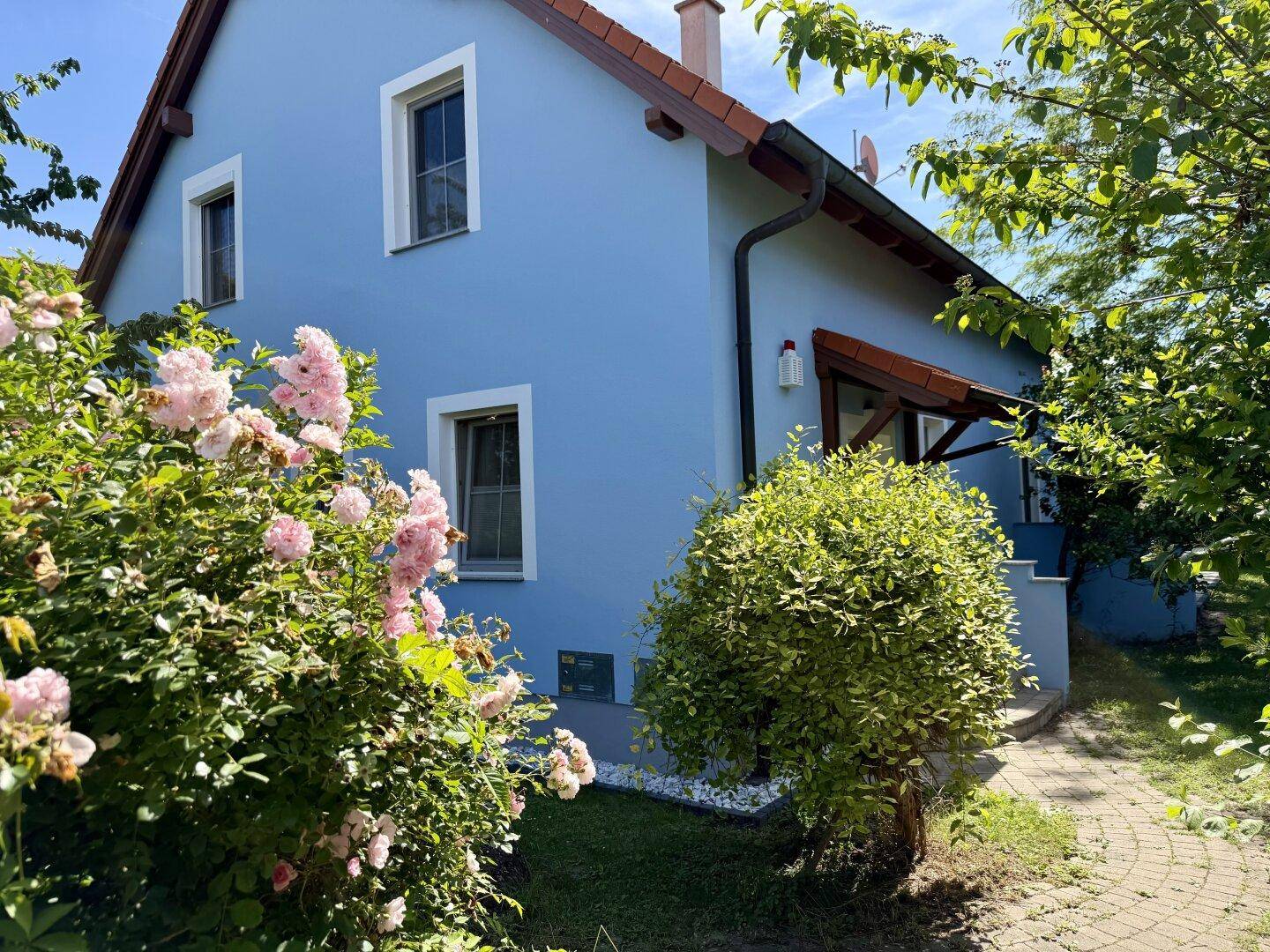 Seitenansicht des blauen Hauses mit blühenden Rosenbüschen und einem kleinen Gartenweg.