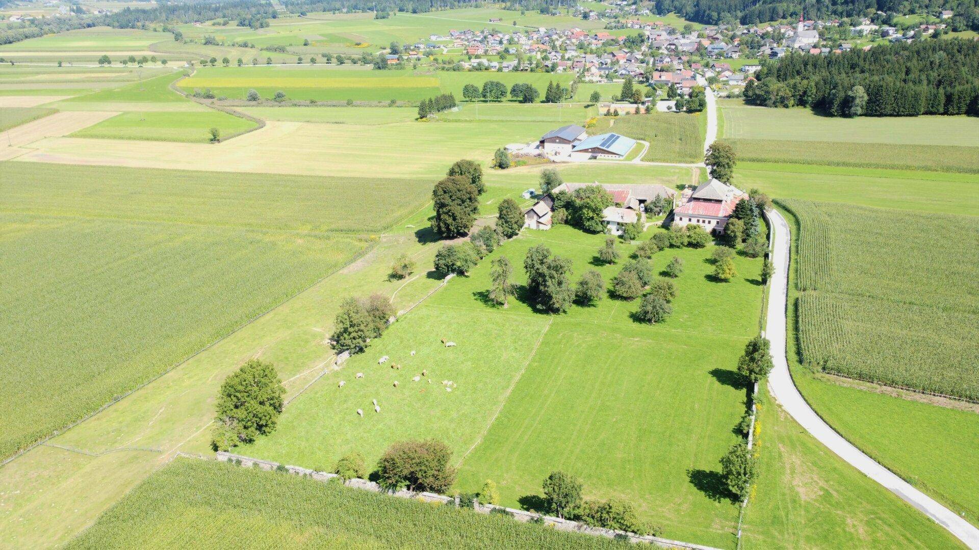 Kompagnon Immobilien Obstgarten