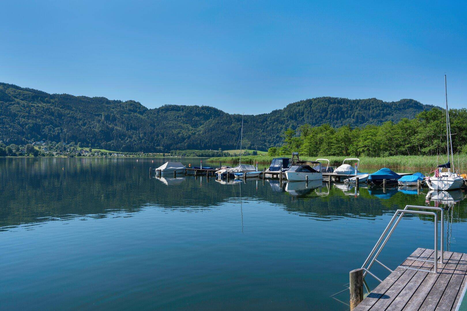 Panoramablick auf den See mit Holzsteg und zahlreichen Booten am Anleger.