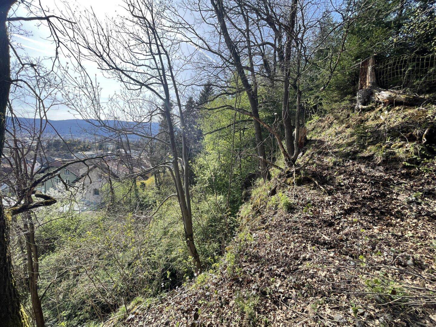 Steiler, bewaldeter Hang mit Blick auf entfernte Häuser und die umliegende Landschaft.