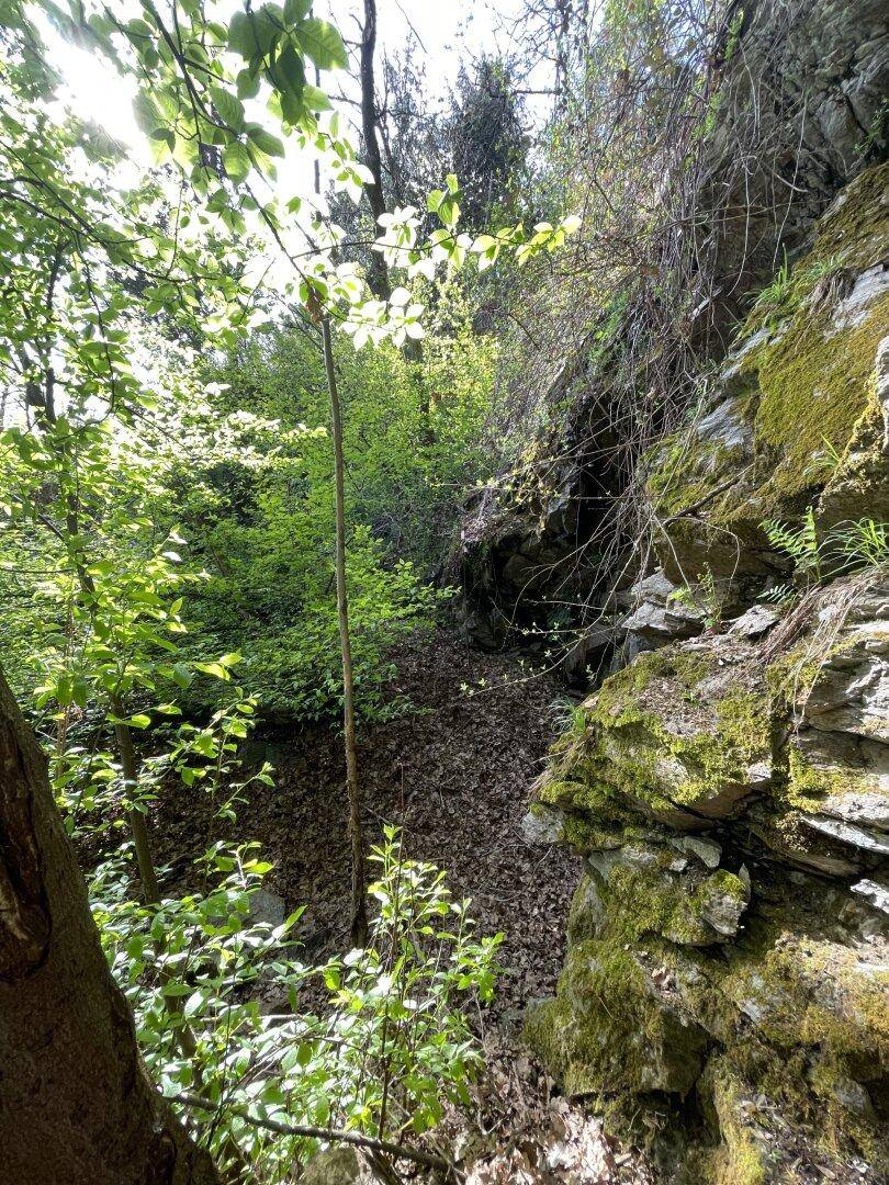 Sonnenbeschienene Felsformationen und üppiges Grün in einem bewaldeten Gebiet.
