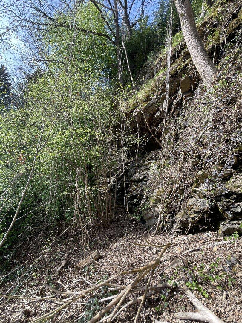 Felsiger Hang mit spärlicher Vegetation und Bäumen, die eine natürliche Landschaft bilden.