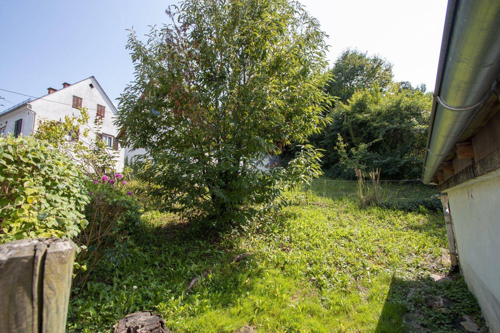 Garten - Kompagnon Immobilien