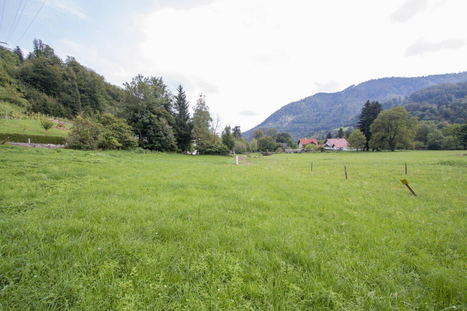 Grundstück