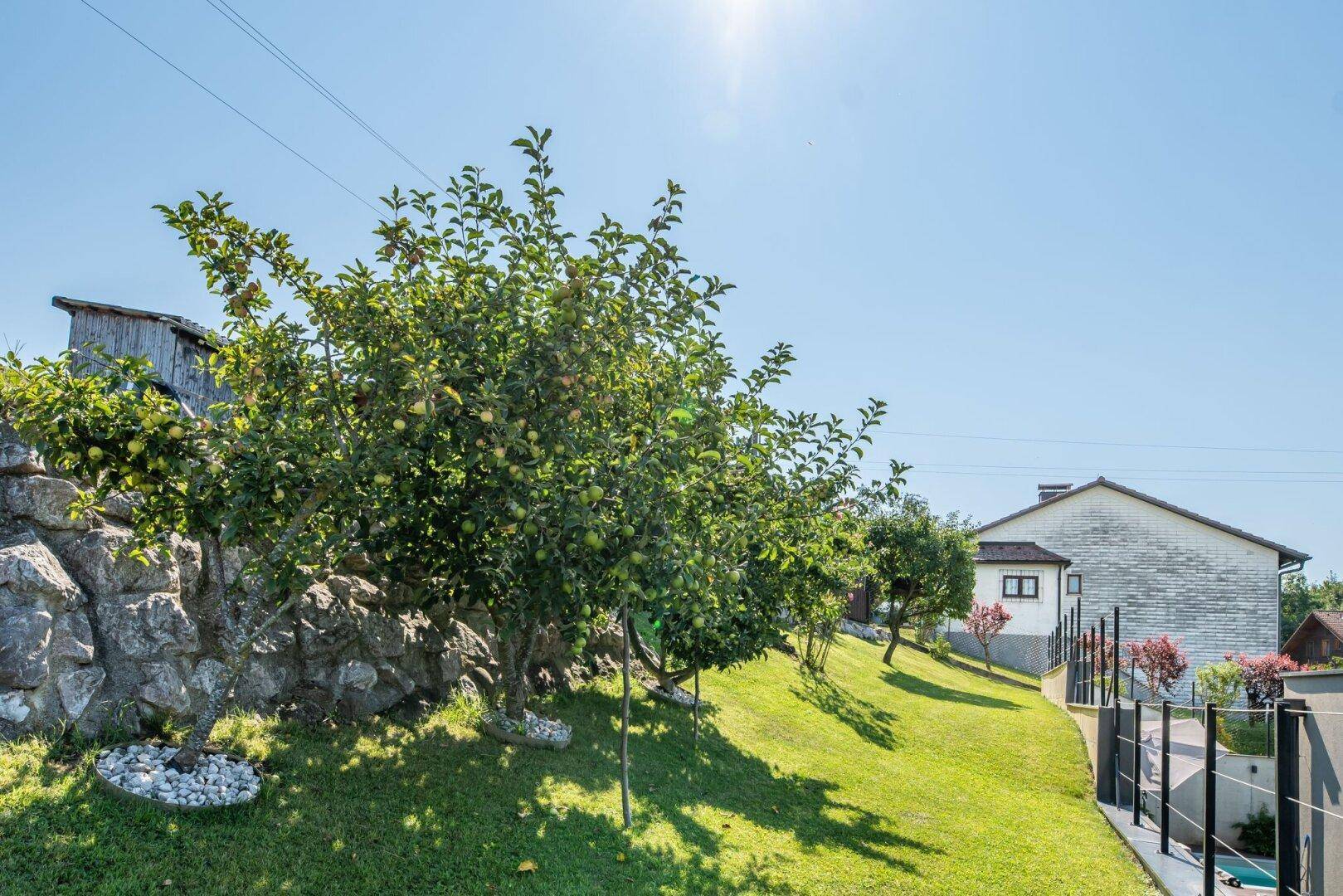 Kompagnon Immobilien Garten