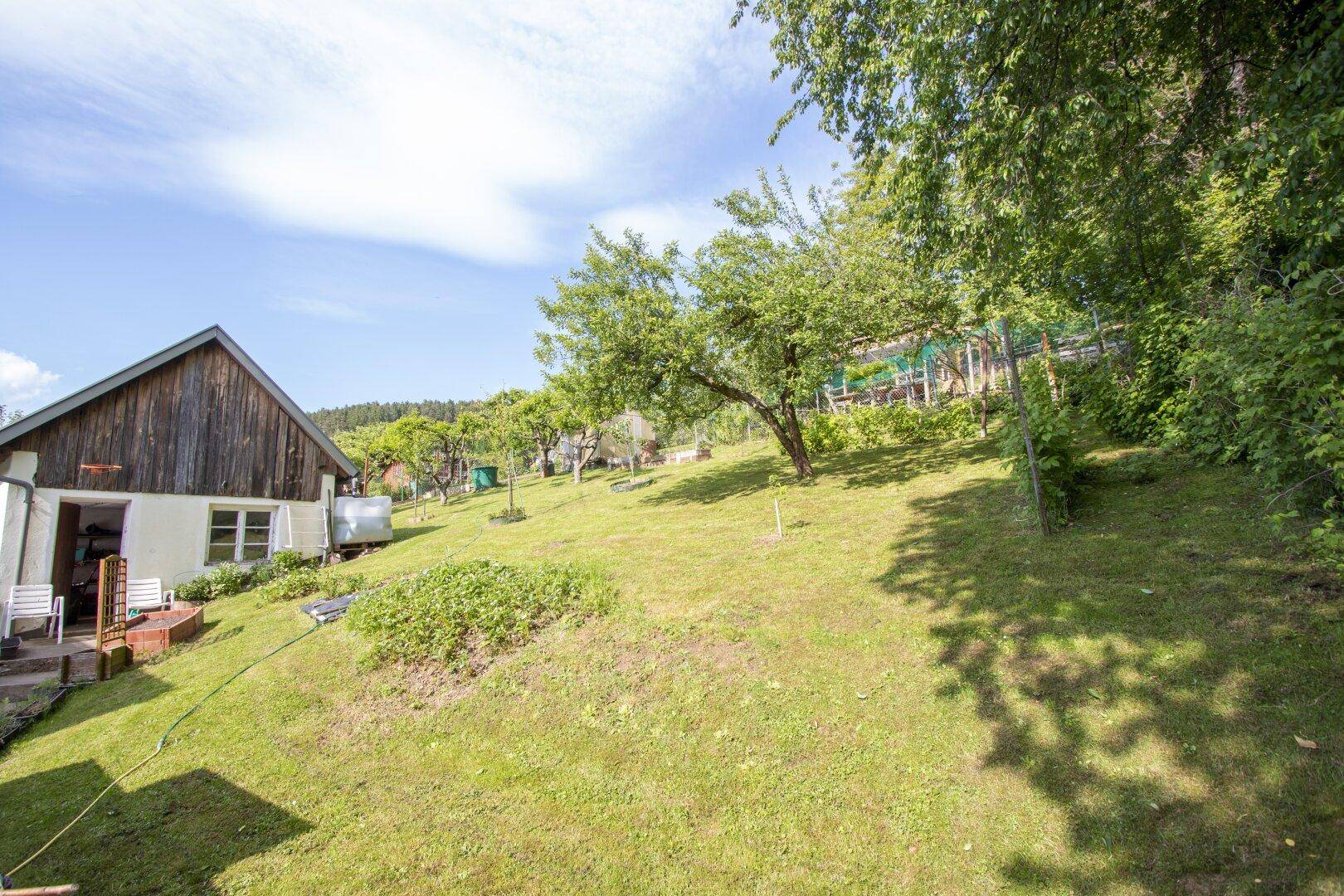 Garten