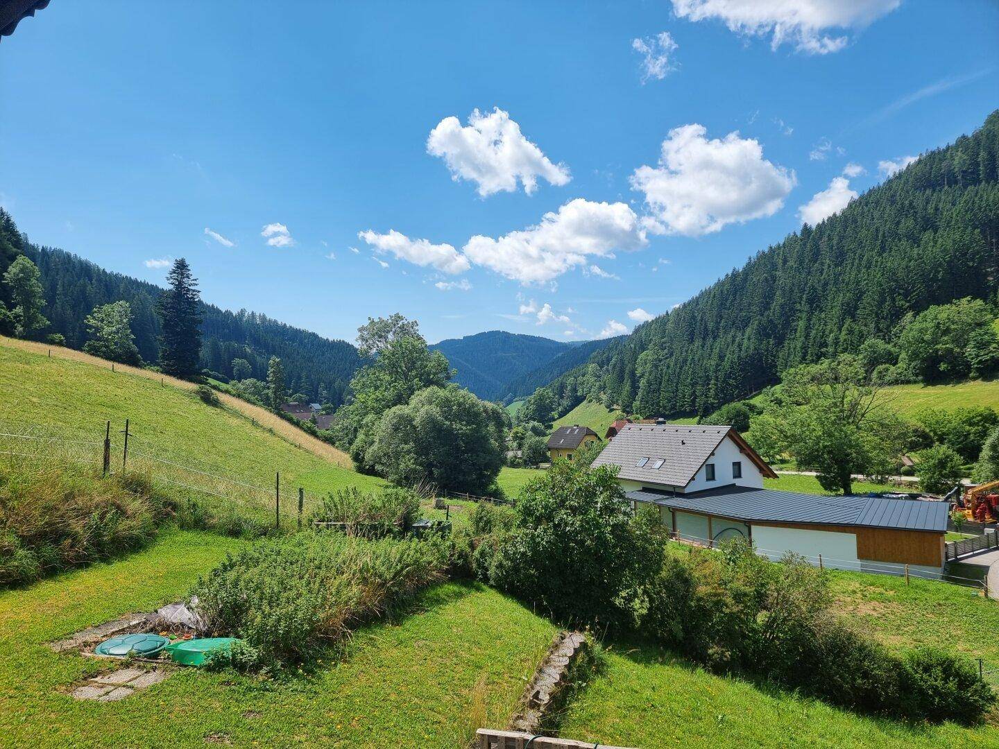 Kompagnon_ausblick