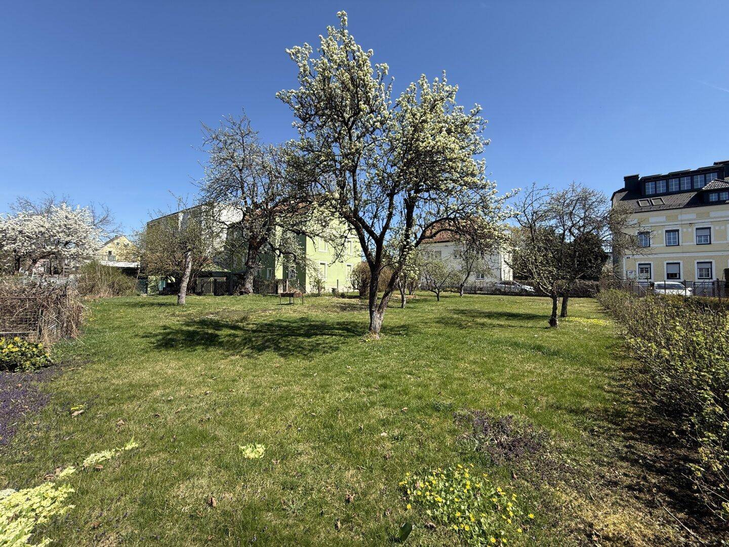 Gepflegter Garten mit jungen Bäumen und blühenden Pflanzen unter strahlend blauem Himmel.