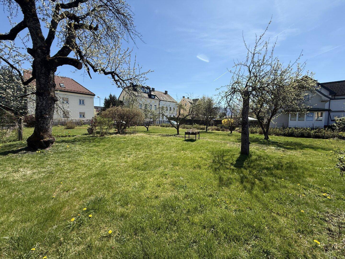 Ruhiger Gartenbereich mit altem Baumbestand und viel Grün, ideal zum Entspannen.