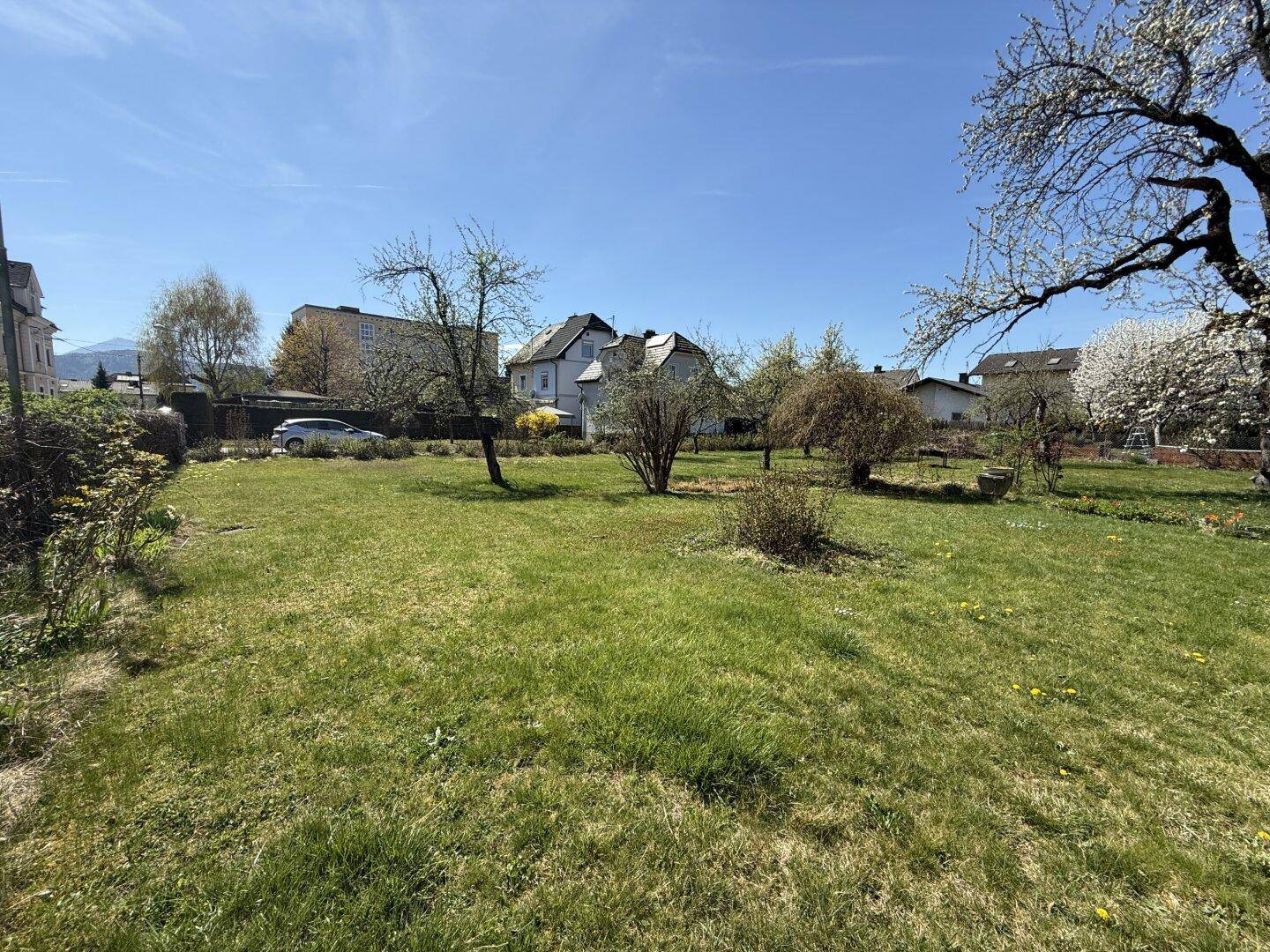 Offener Gartenbereich mit Rasen und verschiedenen Bäumen, umgeben von Wohnbebauung.