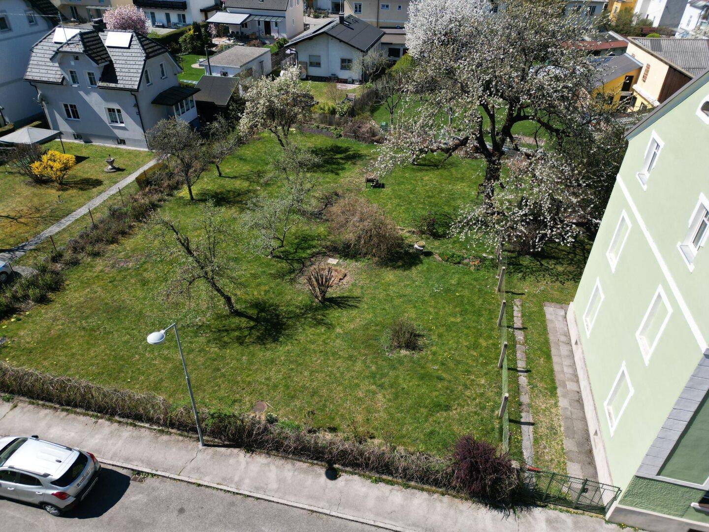 Luftaufnahme des Grundstücks mit Rasenfläche und blühenden Bäumen, begrenzt durch eine Hecke zur Straße.