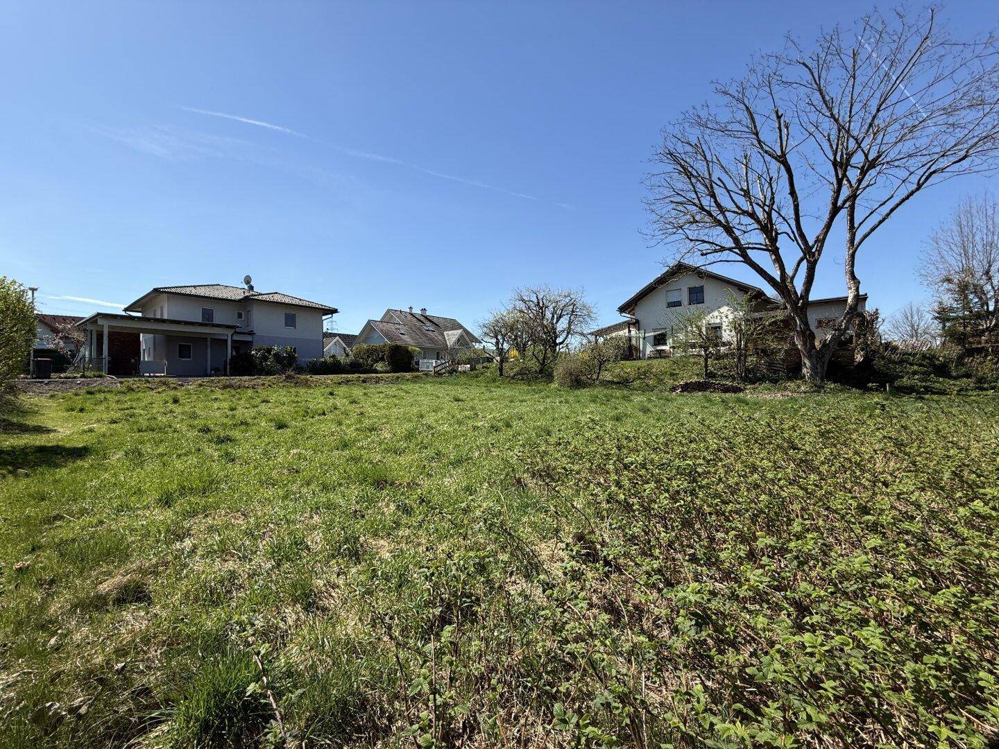 Unbebautes, grünes Grundstück mit hohem Gras und umliegenden Wohnhäusern unter blauem Himmel.
