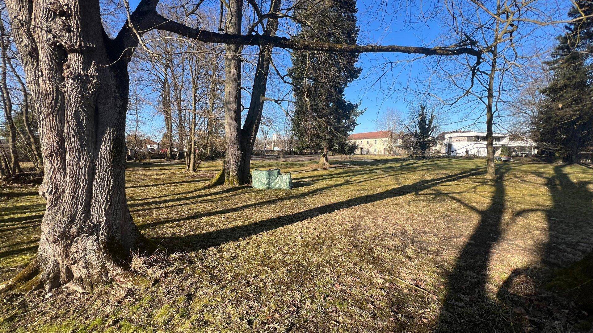Sonniger Grundstücksbereich mit alten Bäumen und Blick auf umliegende Gebäude.