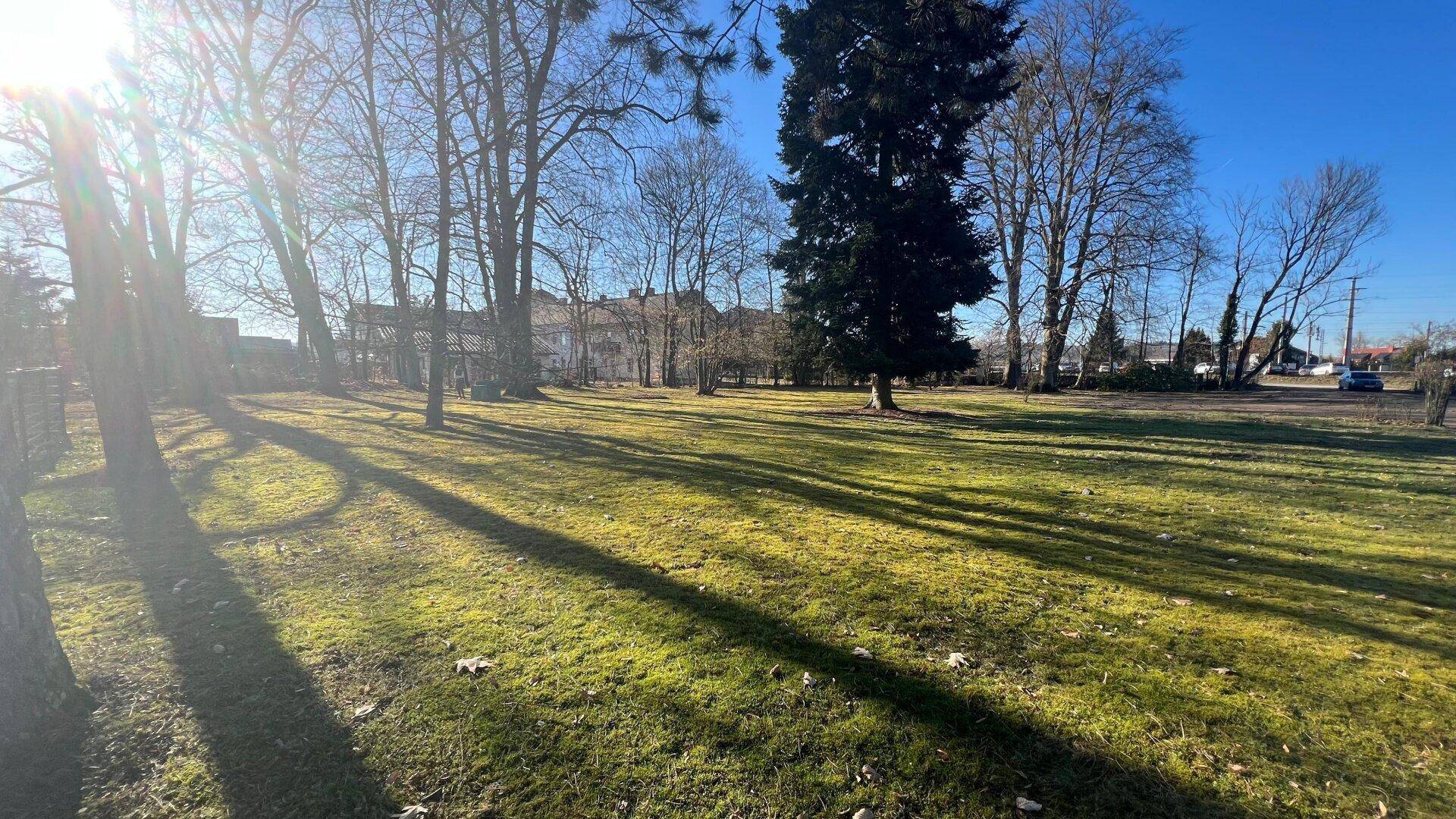 Weitläufige, sonnige Grünfläche mit hohen Bäumen und viel natürlichem Licht.