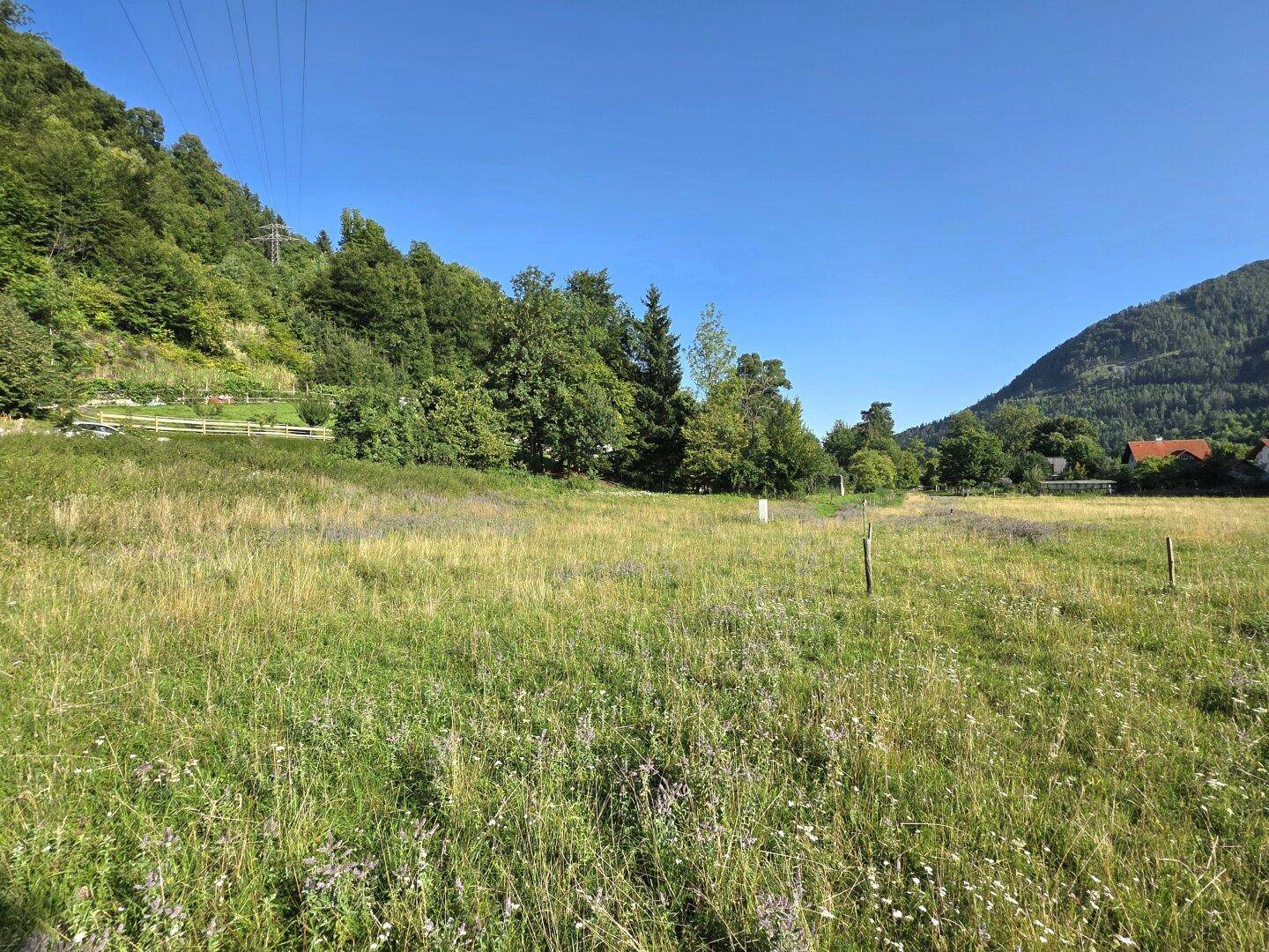 Ländliches Wohnerlebnis mit viel Sonne! - Ansicht 2