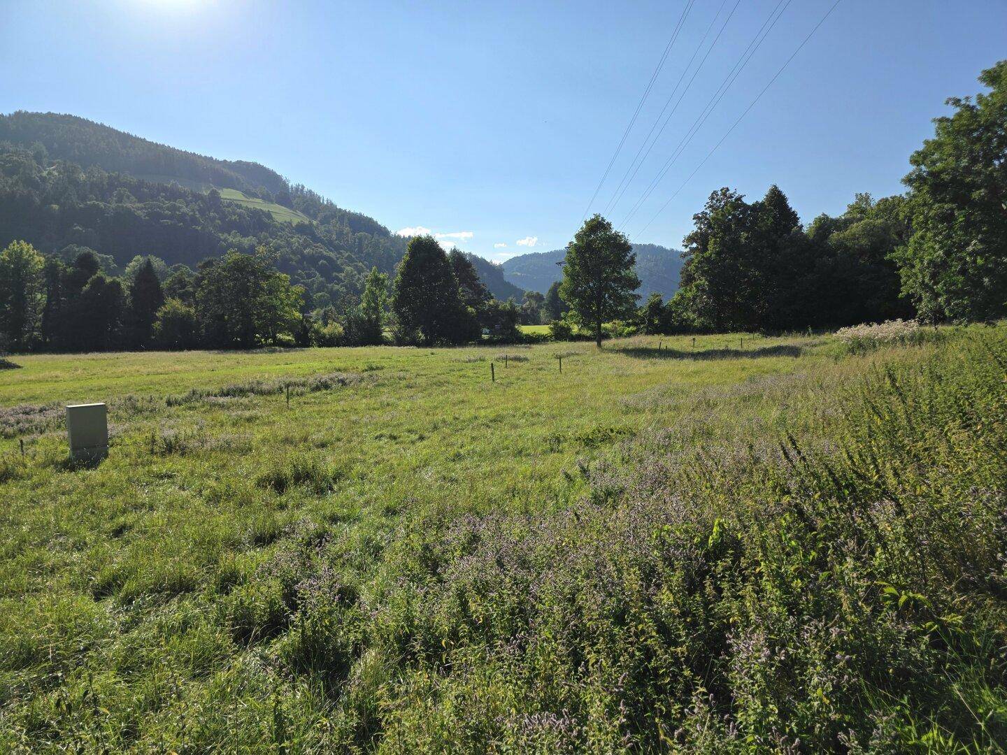 Ländliches Wohnerlebnis mit viel Sonne! - Ansicht 4
