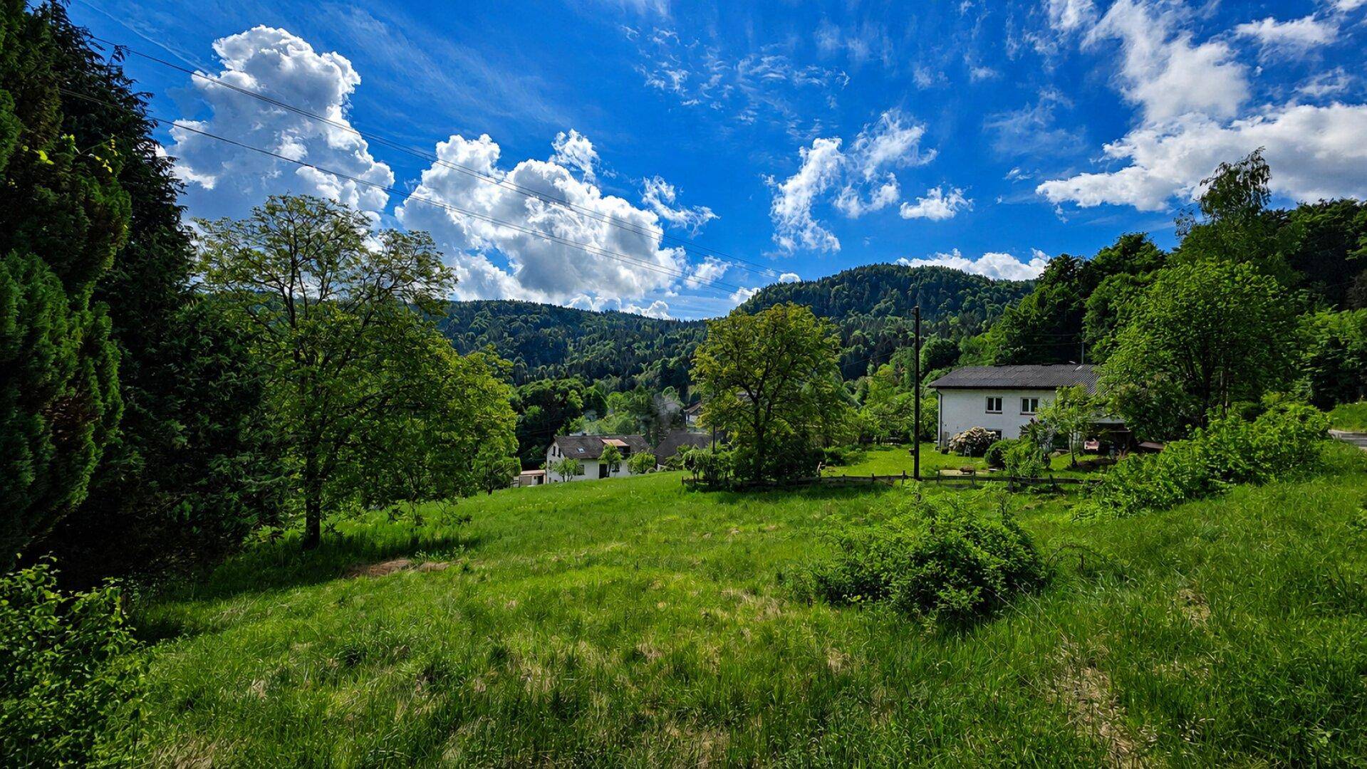 Grüne Wiesenlandschaft mit Bäumen und einem Wohnhaus im Hintergrund unter blauem Himmel.