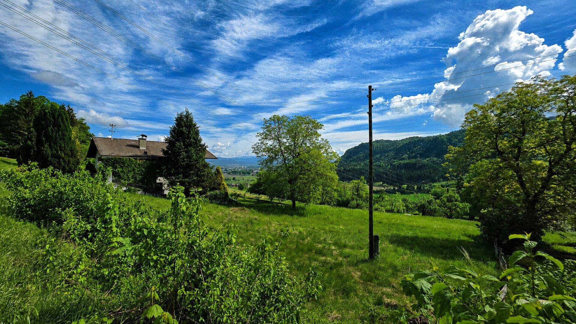 Idyllische grüne Landschaft mit einem von Efeu bewachsenen Haus und weitem Blick auf die Umgebung.