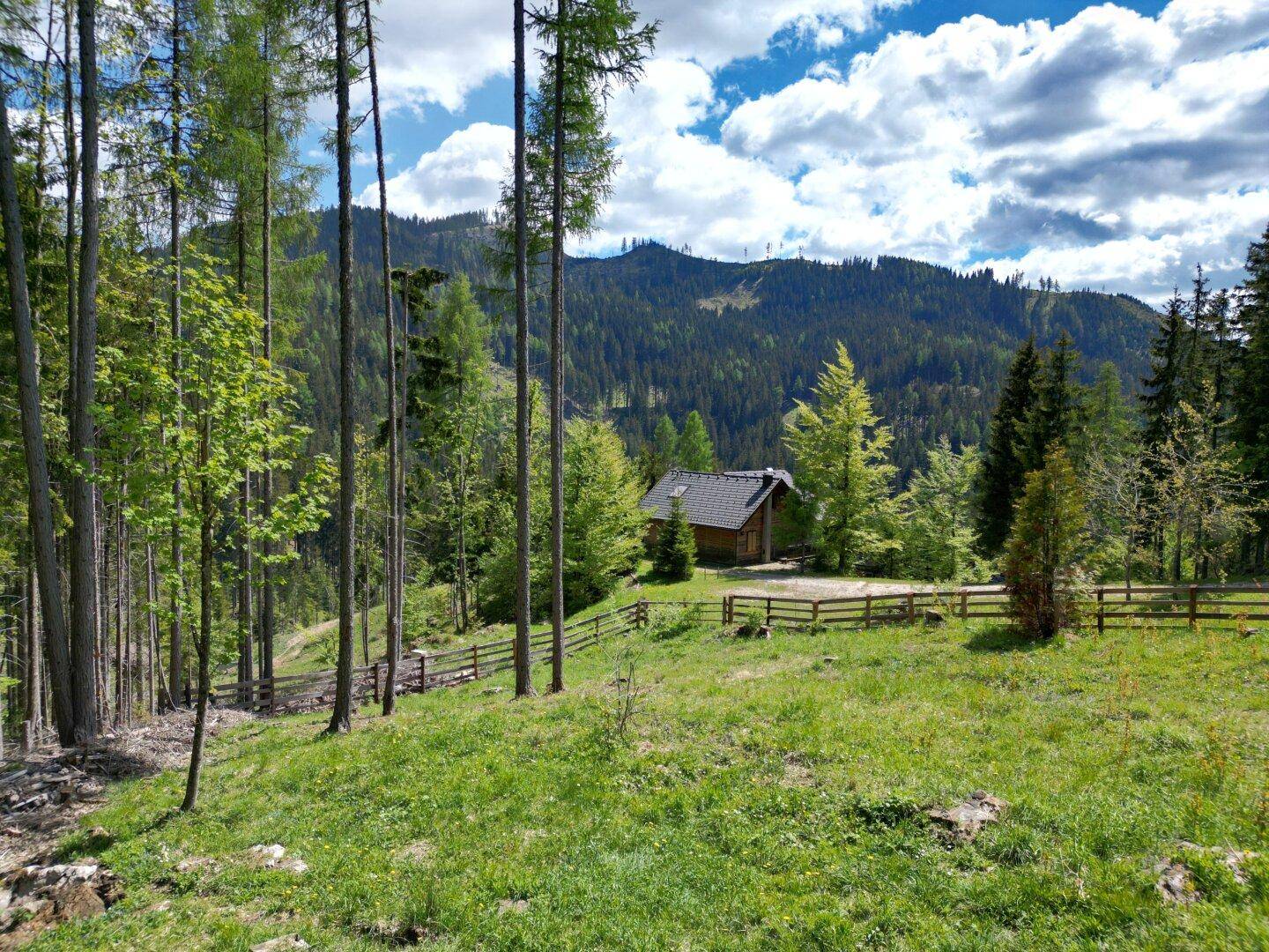 Idyllische Holzhütte umgeben von hohen Bäumen und einem Holzzaun in einer bergigen Landschaft.