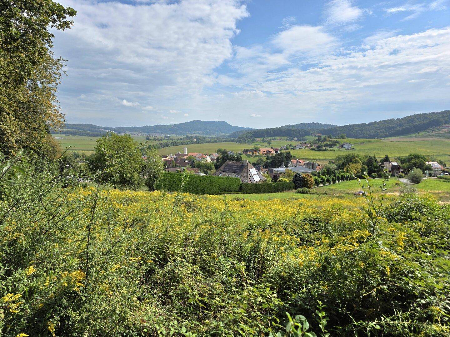 Idyllischer Ausblick auf eine ländliche Landschaft mit einem kleinen Dorf und weiten Feldern unter blauem Himmel.