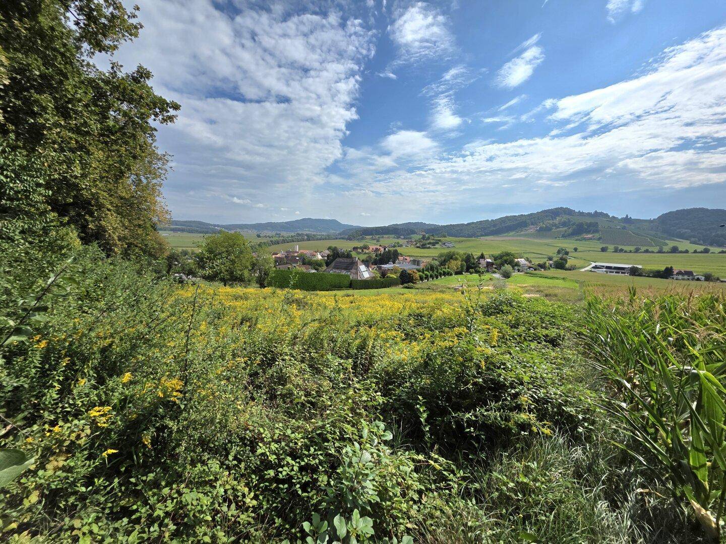 Panoramablick über ein grünes Tal mit einem charmanten Dorf, umgeben von Feldern und sanften Hügeln.