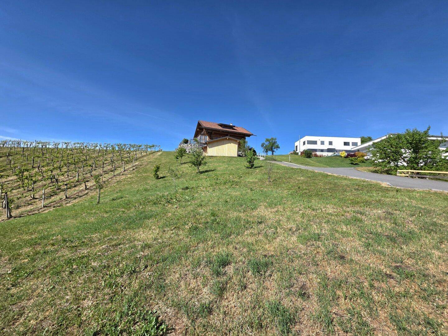 Idyllisches Holzhaus auf einem Hügel mit angrenzendem Weinberg und Blick auf die umliegende Landschaft.