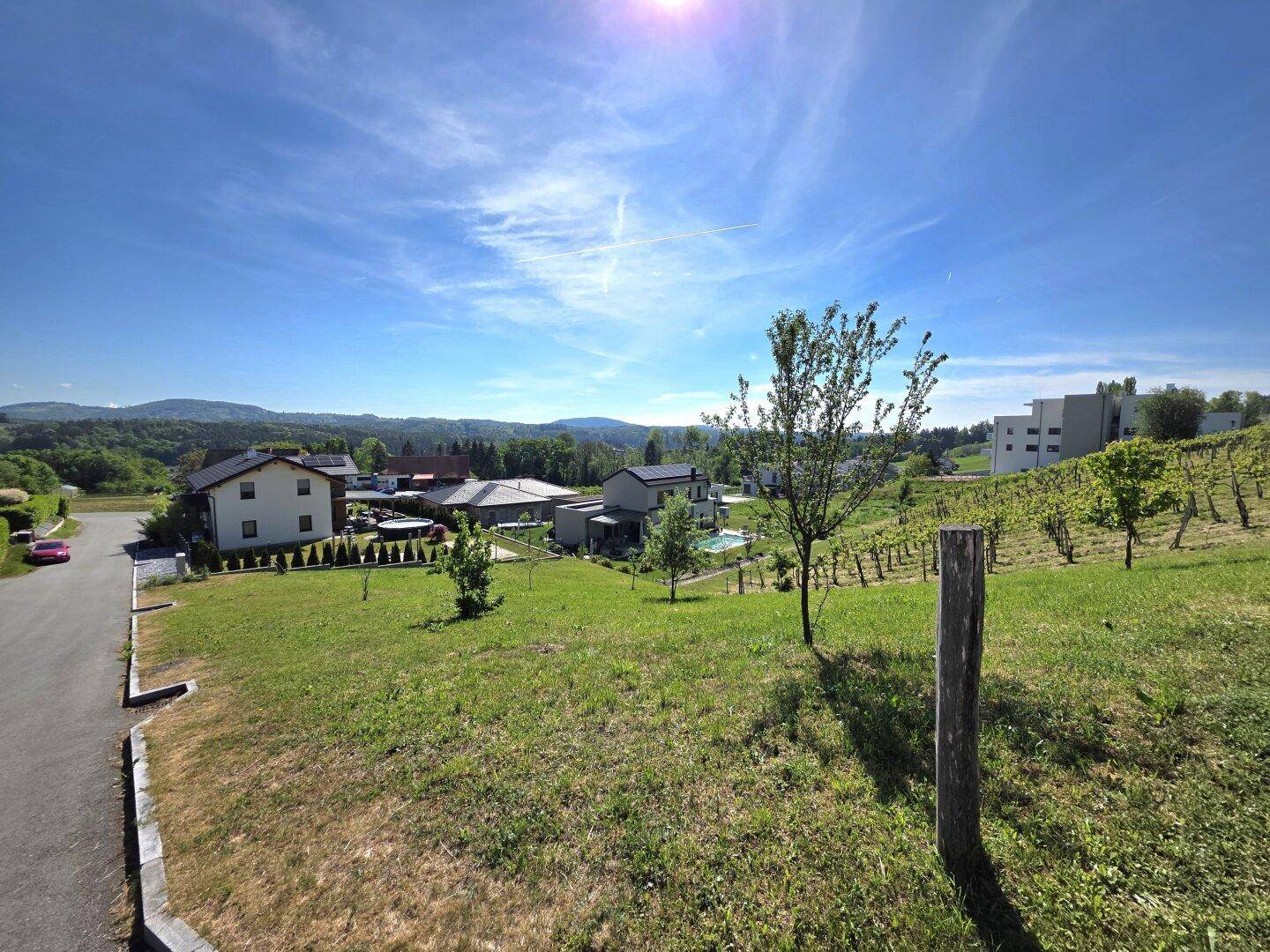 Weitläufige Ansicht einer Wohngegend mit Weinreben, grünen Feldern und Häusern unter strahlend blauem Himmel.
