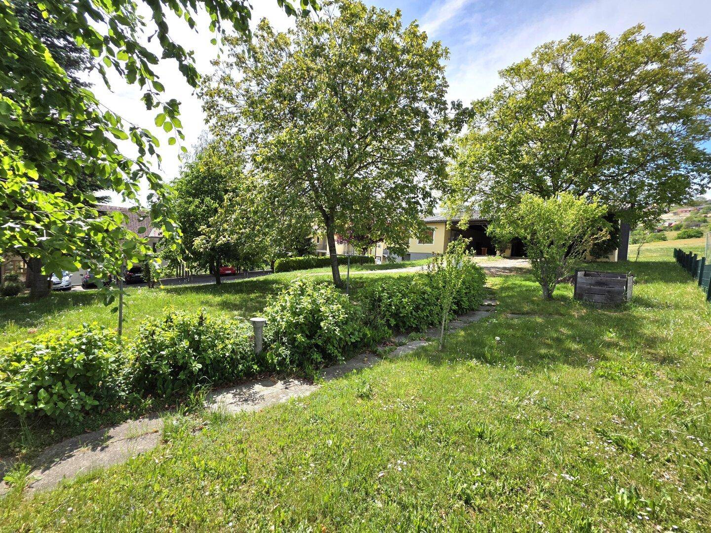 Weitläufiger Gartenbereich mit großen Bäumen und gepflegtem Rasen unter sonnigem Himmel.