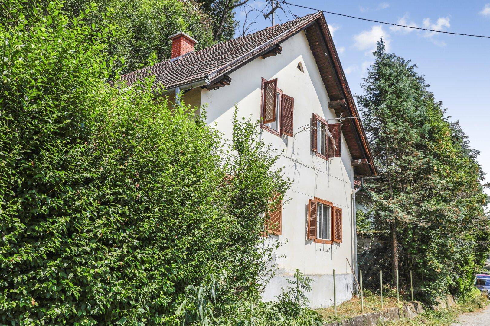 Seitenansicht des Hauses mit weißer Fassade und braunen Fensterläden, teilweise von einer großen Hecke verdeckt.