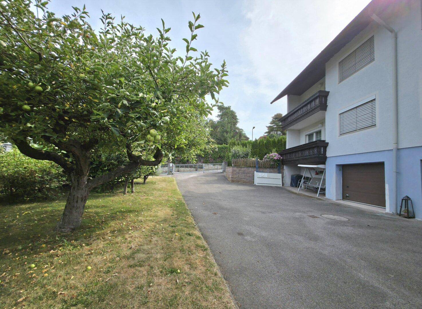 Seitenansicht des Hauses mit Obstbaum, Garagenzufahrt und Blick auf die Umgebung.