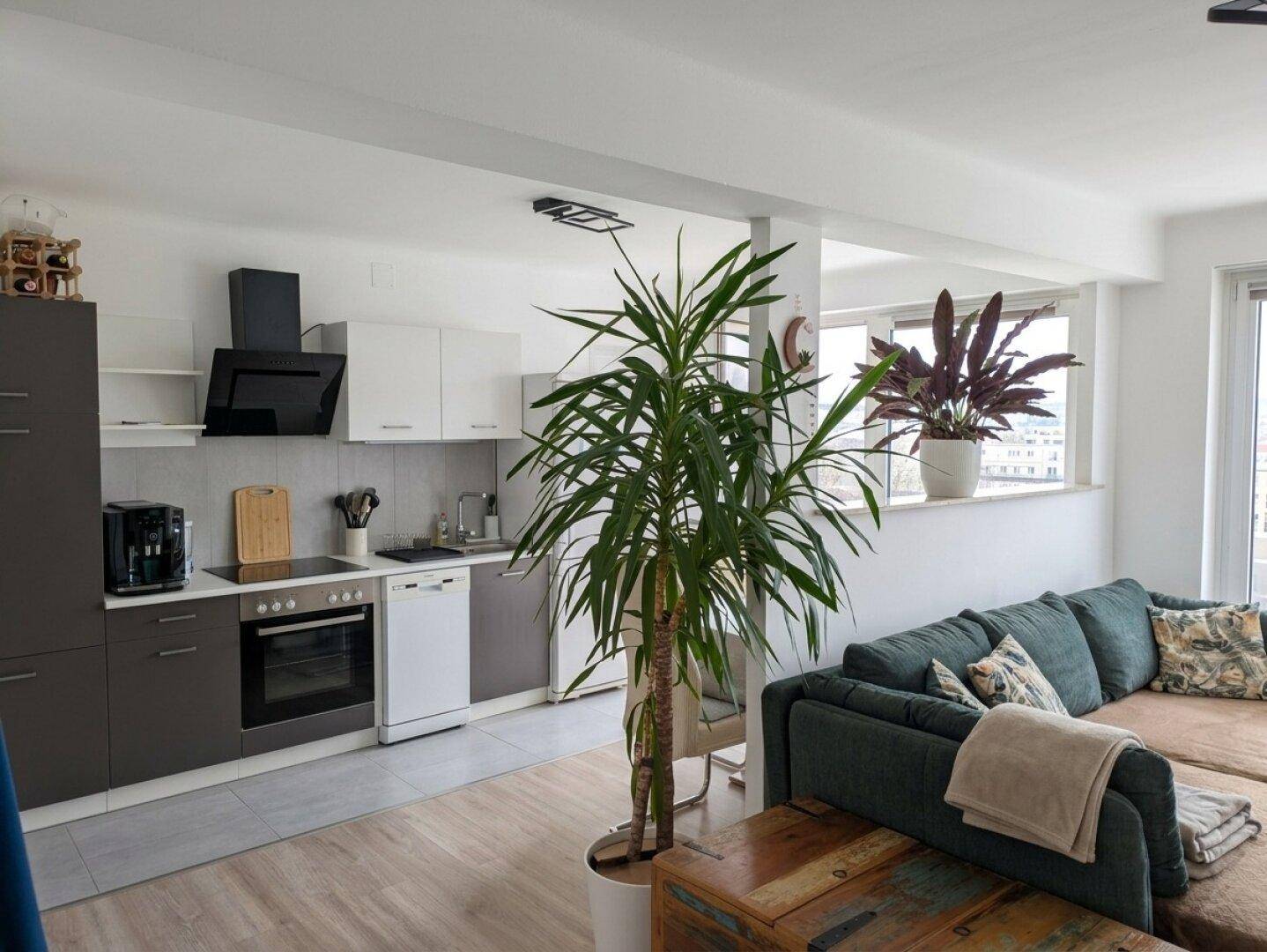 Helle, offene Küche mit grauen und weißen Schränken, integriert in einen Wohnbereich mit Sofa und Pflanzen.